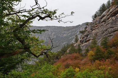 Прикрепленное изображение: DSC_0723_.jpg